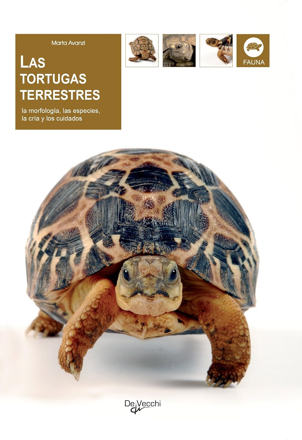 Las tortugas terrestres: la morfología, las especies, la cría y los cuidados (Spanish Edition)
