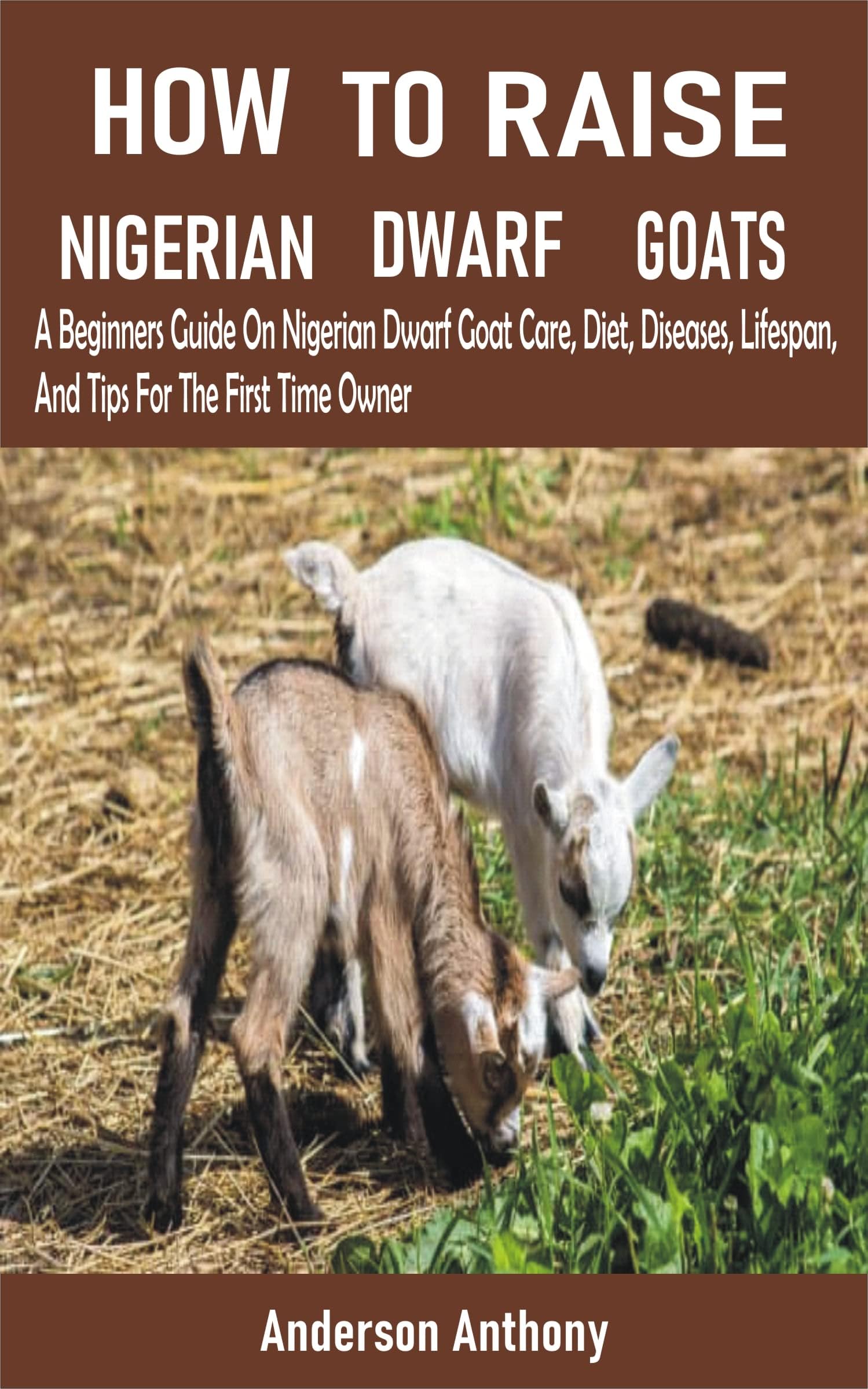 HOW TO RAISE NIGERIAN DWARF GOATS: A Beginners Guide OnNigerian Dwarf Goat Care, Diet, Diseases, Lifespan, And Tips For The First Time Owner