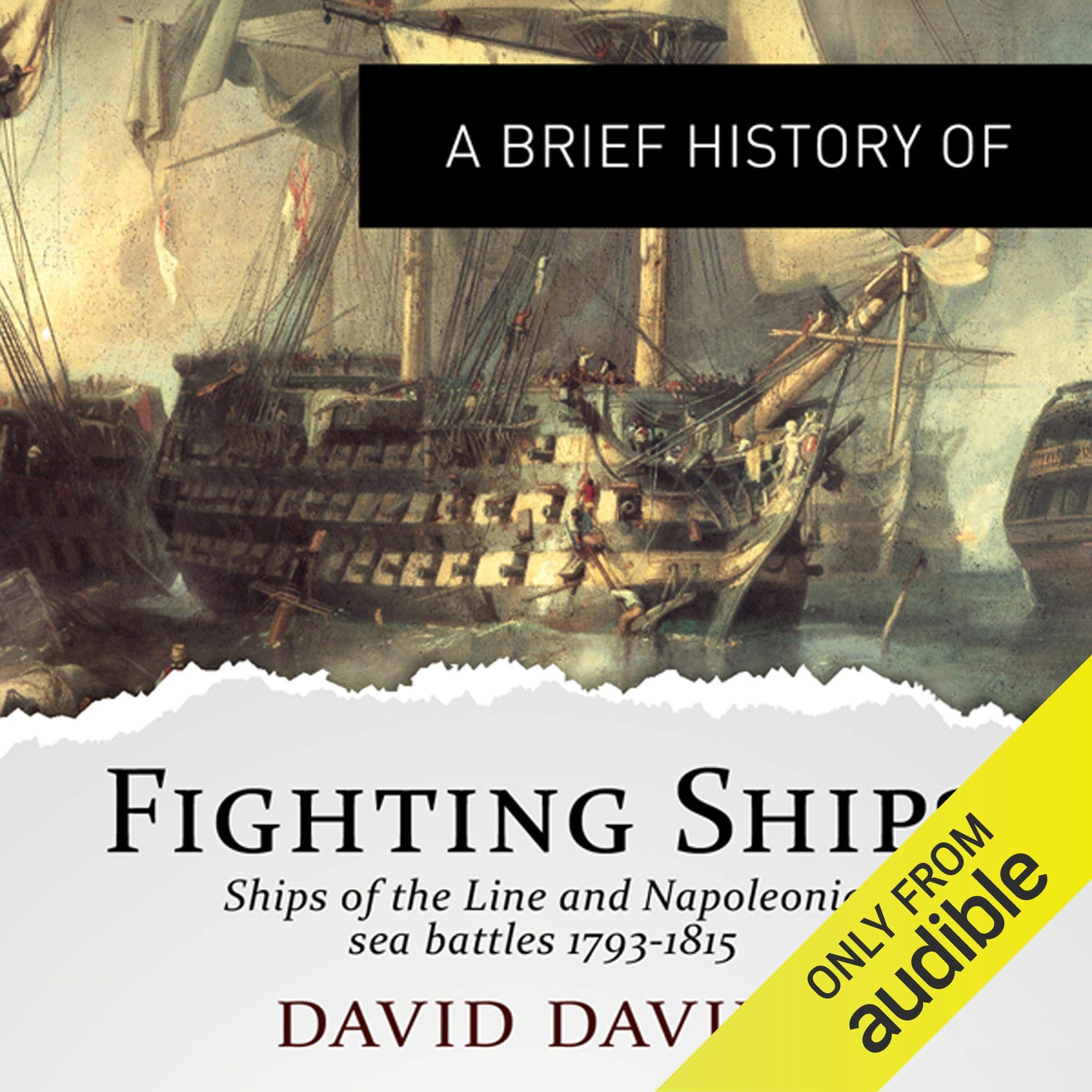 Cover art for A Brief History of Fighting Ships