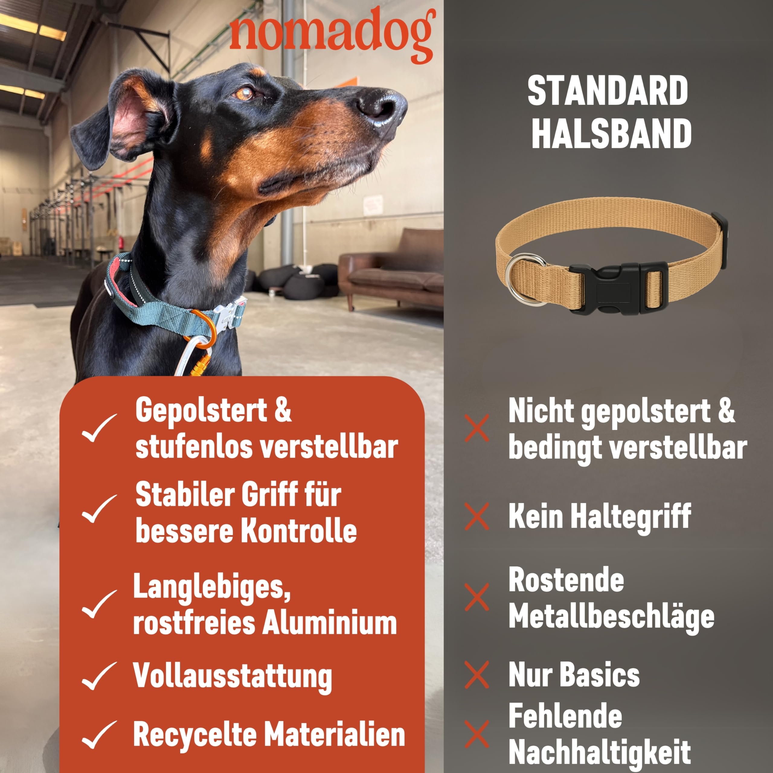 Nomadog Trailblazer Hundehalsband mit Griff für Große Hunde - Premium Aluminium Schnalle, Strapazierfähiges taktisches Halsband, Verstellbar, Gepolstert, Reflektierend (XL)