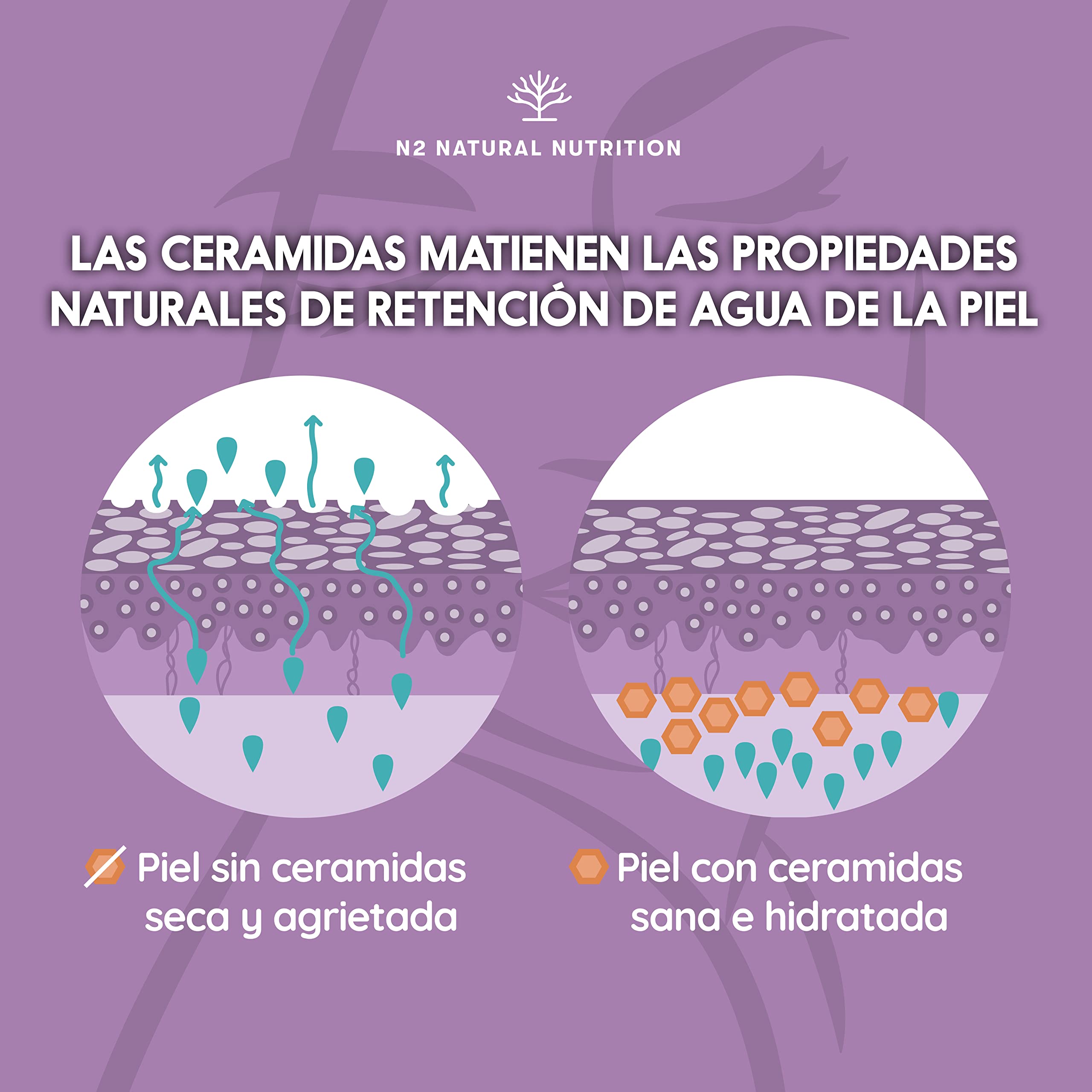 Colageno Hidrolizado con Retinol, Acido Hialuronico, Ceramidas y Niacina. Piel Sana e Hidratada. 90 Cápsulas vegetales. Barrera Natural. Con Vitamina C. CE. N2 Natural Nutrition