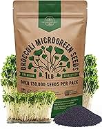 Broccoli Sprouting & Microgreens Seeds - Non-GMO, Heirloom Sprout Seeds Kit, 1lb Resealable Bag for & Growing Microgreens in Soil, Coconut Coir, Aerogarden & Hydroponic