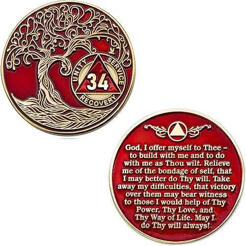 Miniatura 343 de 17 años Sobriety Mint Twisted Tree of Life - Medallón de recuperación AA/NA chapado en oro, fichas y fichas, color blanco