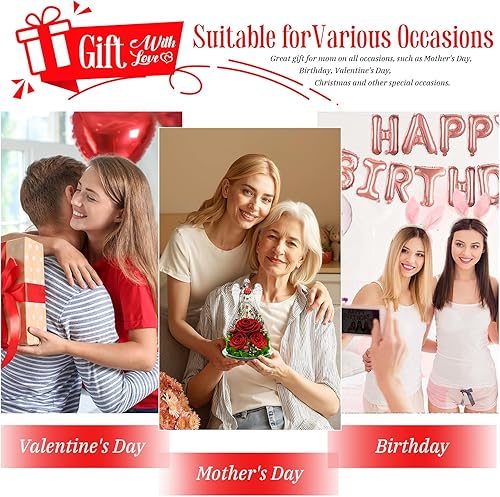 Miniatura 6 de Rosas preservadas en cúpula de cristal, regalo de flores eternas para mujeres, mamá, esposa, cumpleaños, día de San Valentín, rosas eternas para