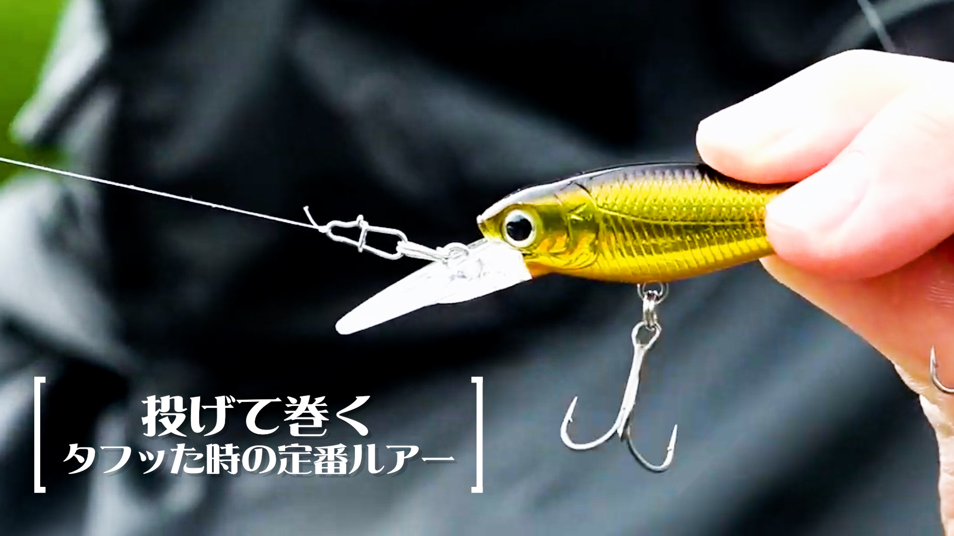 Amazon.co.jp: ラッキークラフト(LUCKY CRAFT)ベビーシャッド60F