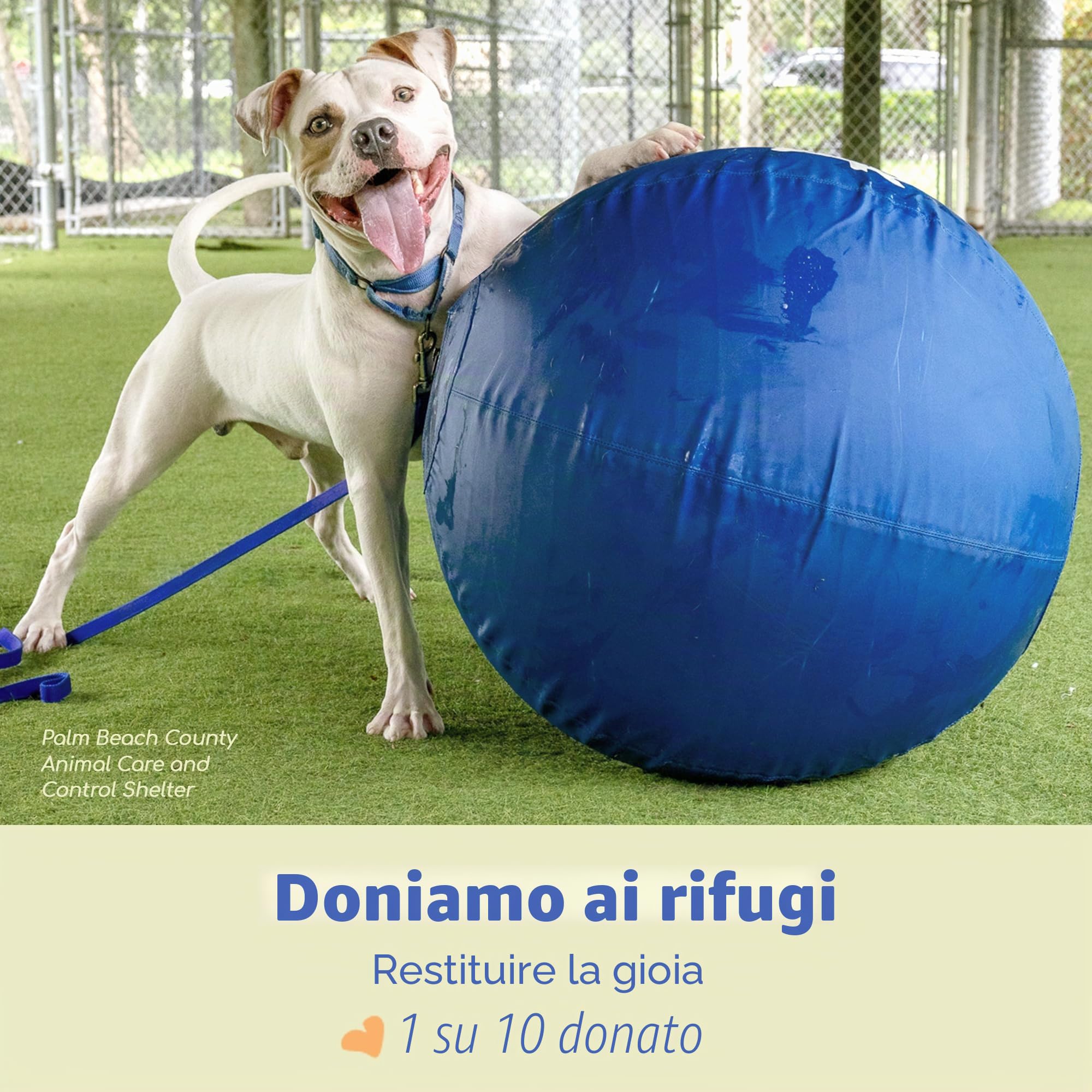 Race&Herd Palla da pastore per cani con tacchi, palla da cavallo e copertura per palla, grande con pompa a mano, palline per cavalli per giocare palla da hurding