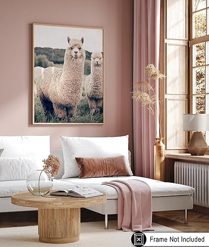Vista 6 de Poster Master Póster de alpaca – Impresión de alpacas en pastizales – Arte de fotografía – Regalo para hombres, mujeres y amantes de los animales