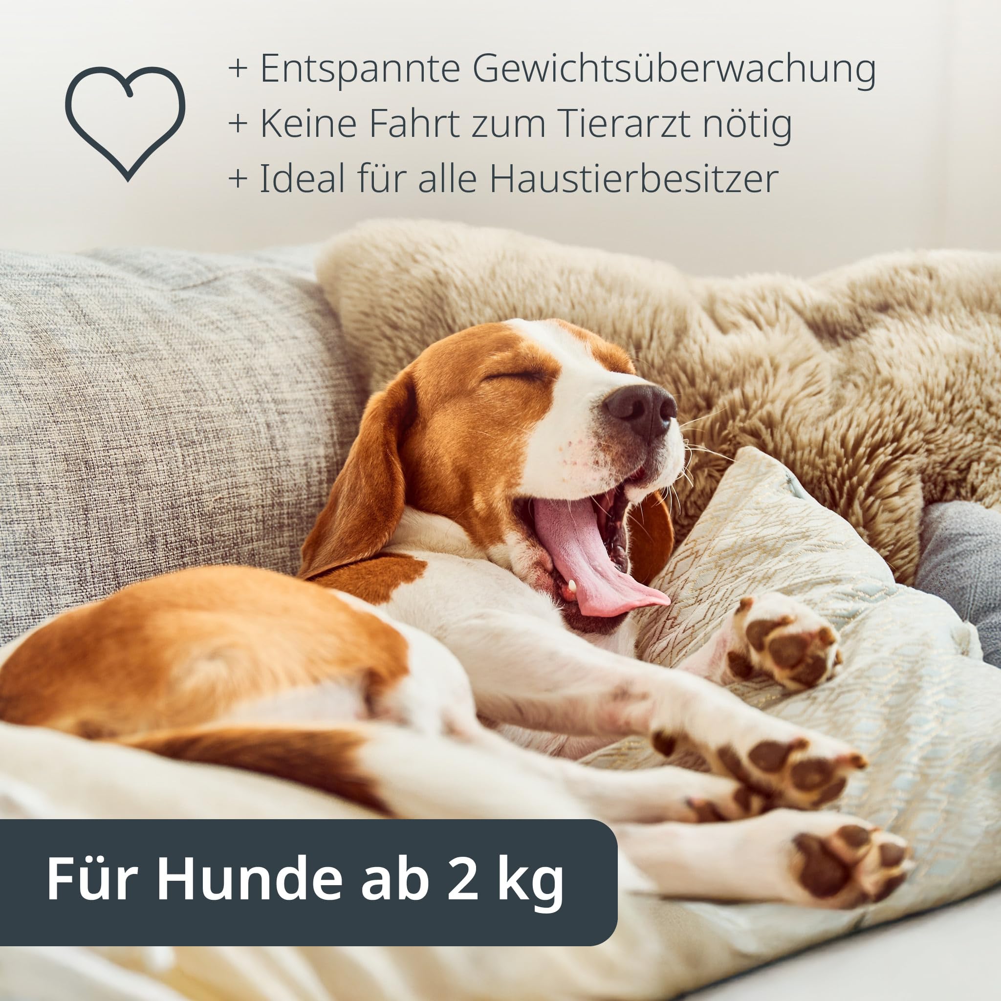 ADE Digitale Tierwaage bis 100 kg | große Hundewaage XL | extra leicht und flach | pfotenfreundliche Oberfläche | auch für Katzen und Kleintiere