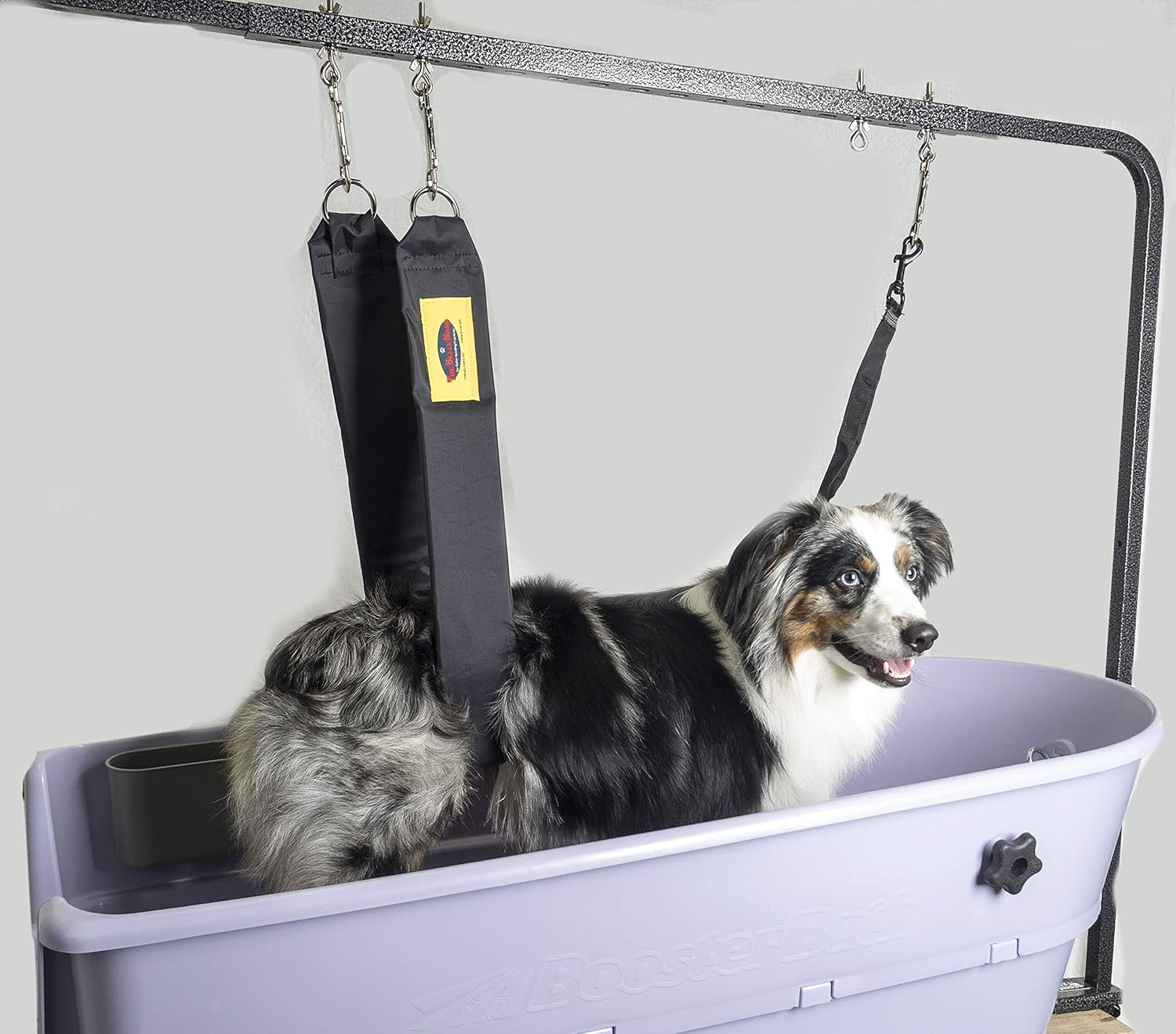 The Belly Band (Short, Royal Blue)