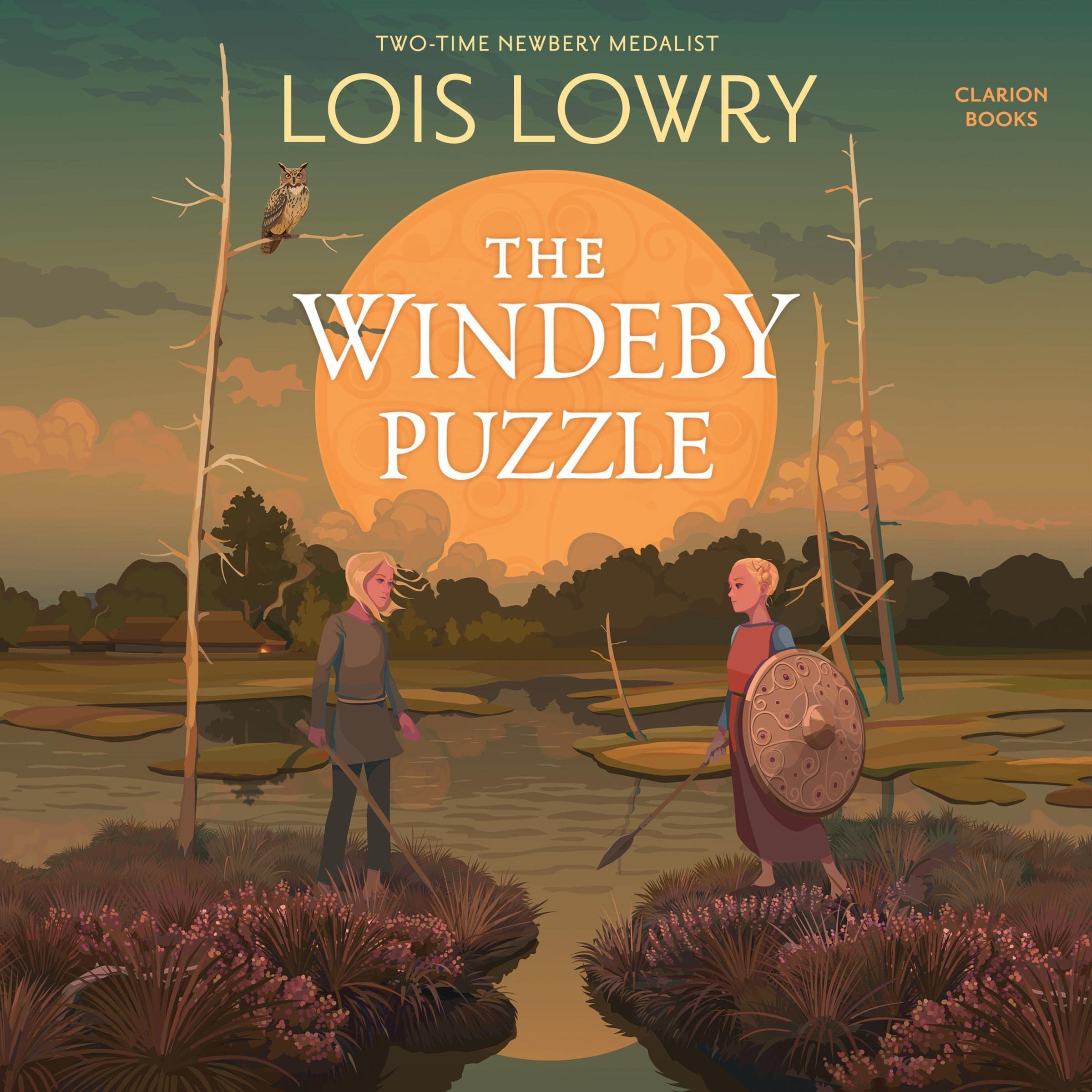Cover art for The Windeby Puzzle