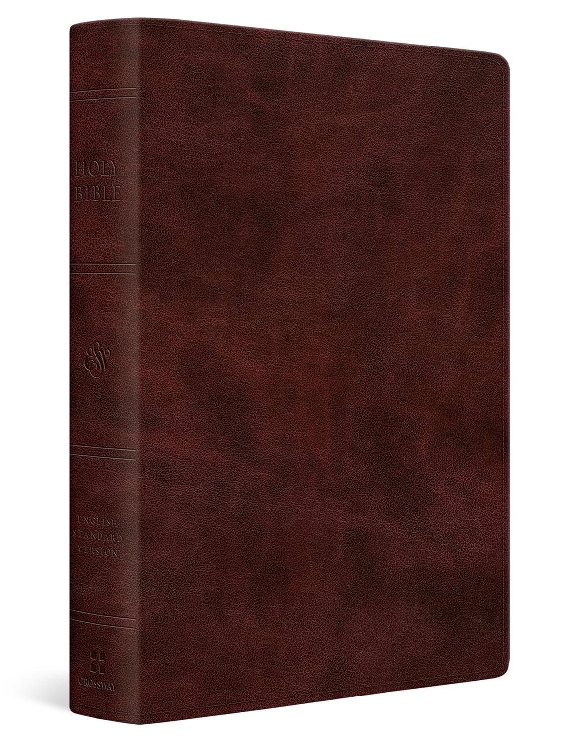 ESV Giant Print Personal Size Bible, Red Letter - 9798874906573