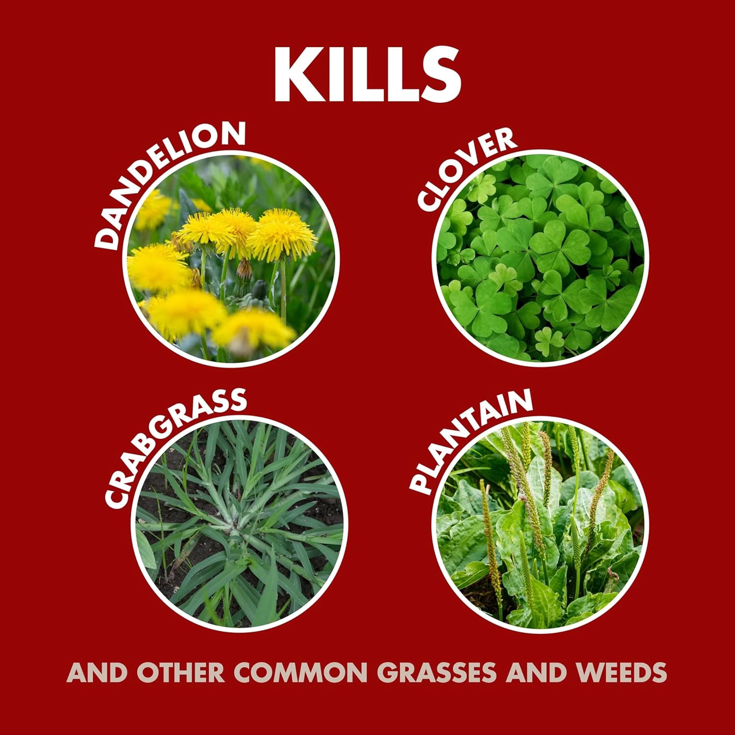 Spectracide Weed And Grass Killer Concentrate 64 Ounces, Use On Patios, Walkways And Driveways
