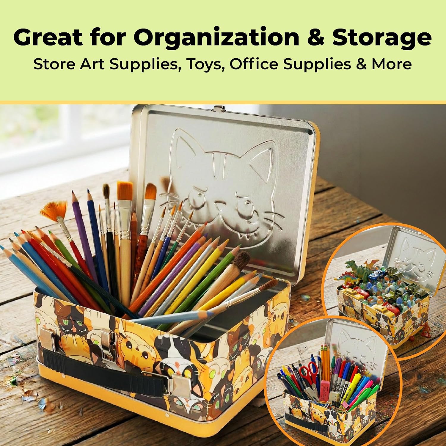 Sweet and Sour Cat Metal Fun Box Storage Case with Handle, Embossed Tin Design, Decorative Organizer for Teens and Adults