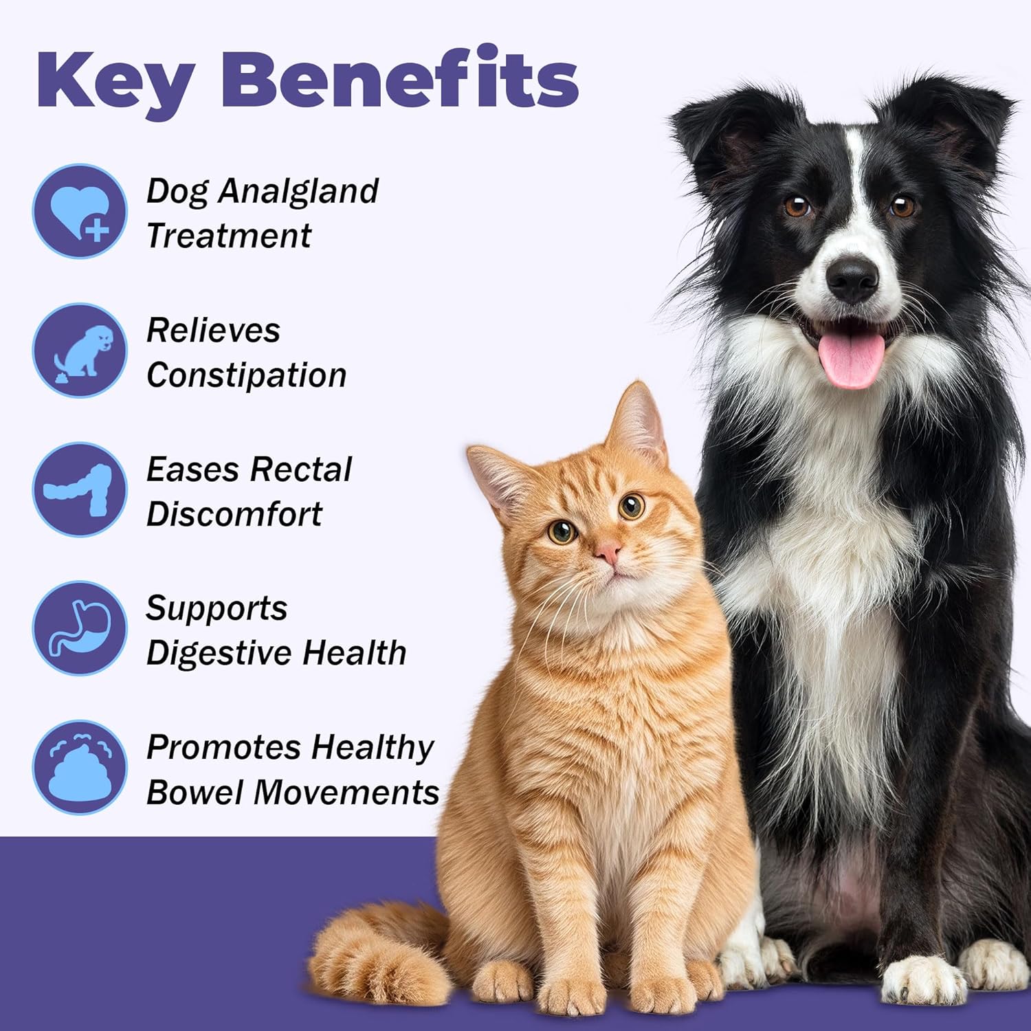 Anal Gland Support for Dogs - Dog Constipation Relief - Anal Gland Chew Alternative - Anal Gland Relief for Dogs, Scooting Relief & Healthy Intestinal Function - 3-Pack - Image 2