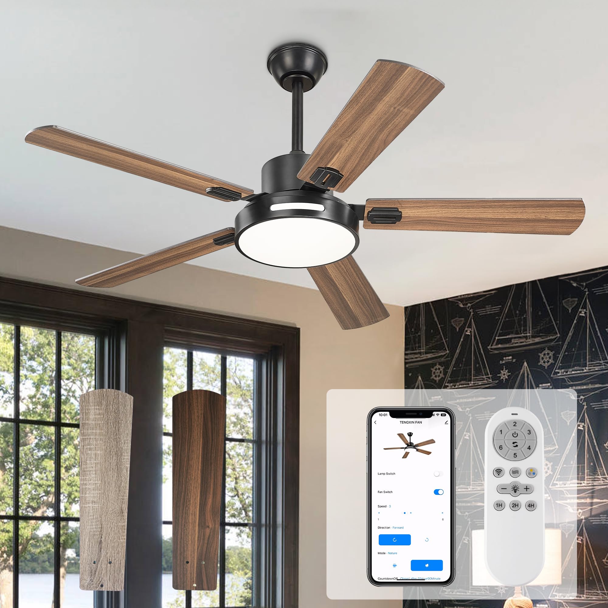 Amazon.com: TENGXIN 52 Inch Ceiling Fan With Lights and Remote