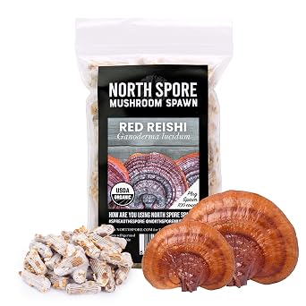 North Spore Organic Reishi Mushroom Plugs for Logs, 100 Plugs