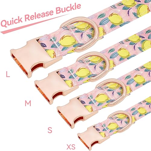 Miniatura 3 de Hilkycton Juego de collar y correa para perro con corbatín, lindo collar para perro con flor, correa de perro con mango acolchado, hebilla de