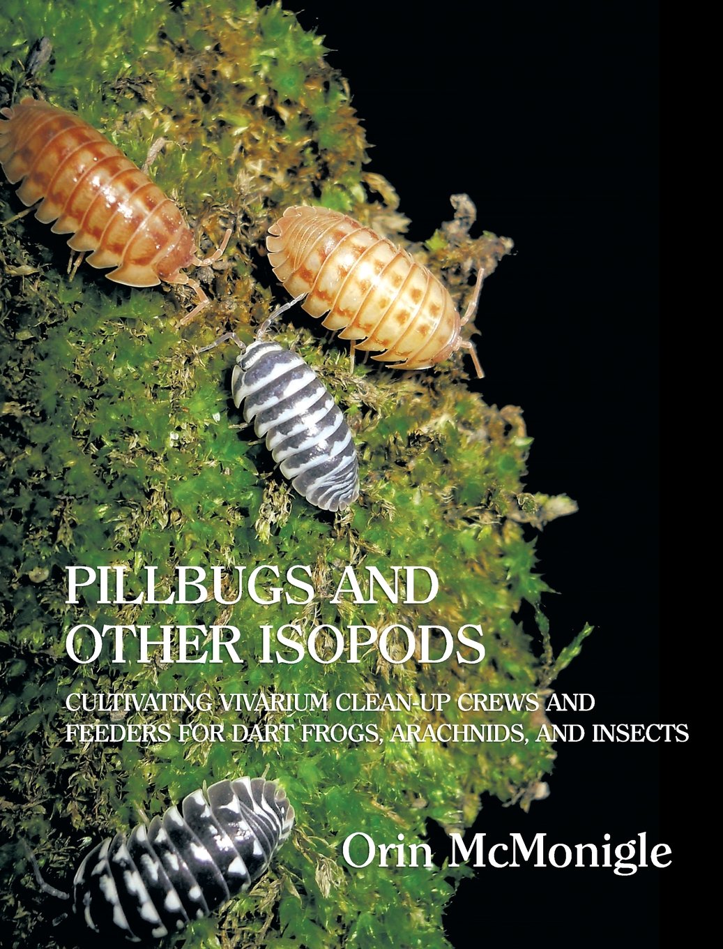 Pillbugs And Other Isopods Cultivating Vivarium Clean Up Crews