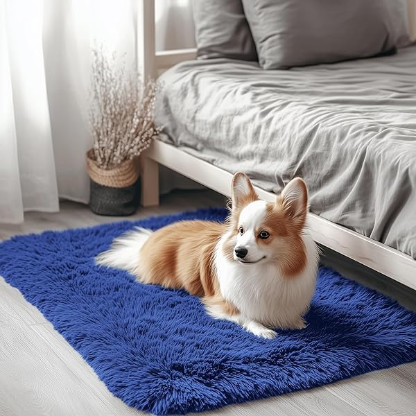 OLANLY 2x3 Machine Washable Small Bedside Rug, Soft Fluffy Shaggy Entryway Throw Rugs for Bedroom, Living Room, Indoor Floor Carpet for Kids Girls Boys, Nursery Rooms, Home Decor Aesthetic, Navy Blue