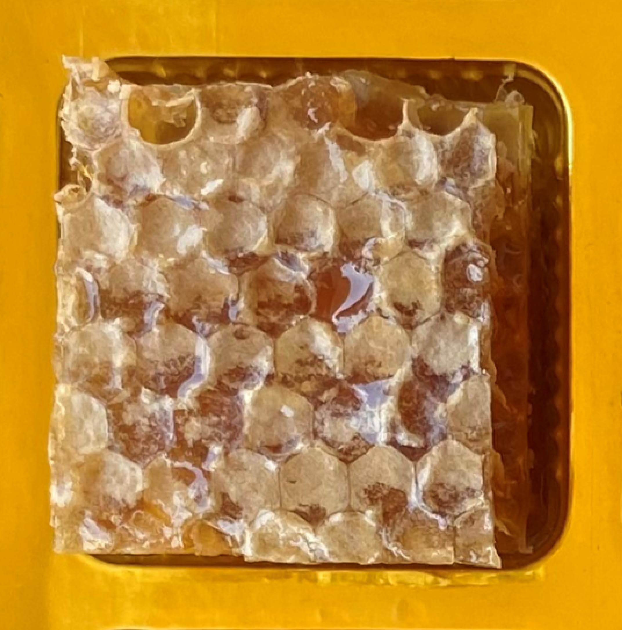 iBLOOM Raw Natural Cut Honeycomb 40 g (size 1.25 inch X 1.25 inch)-image-43