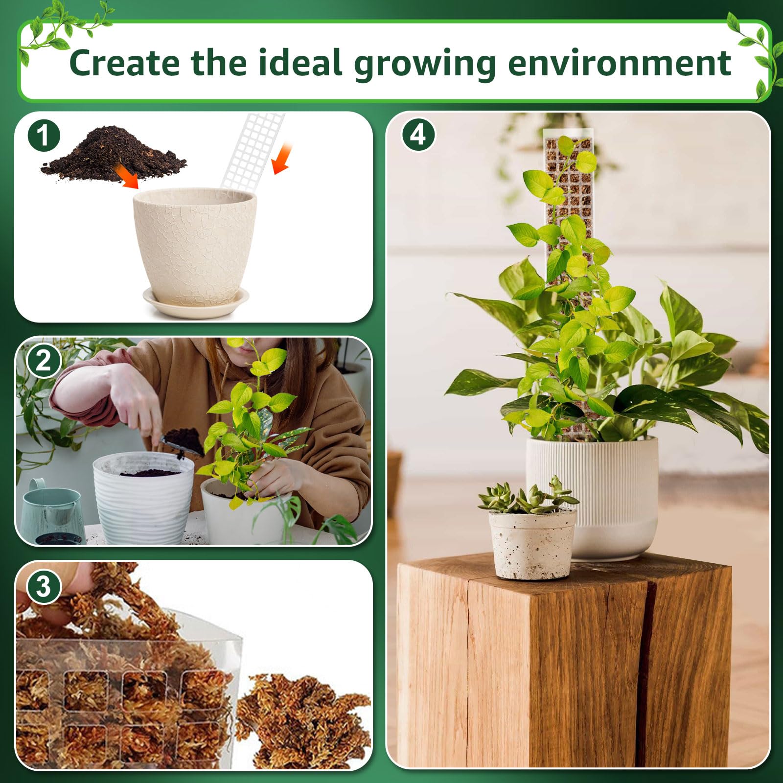 Jauge De Pression Capsule 2,5" - Gamme 0-8 Oz/0-15 Pouces H2O - 1/4 NPT Bas - Réglable Zéro