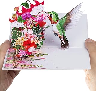 Diese-Klappkarten Hummingbird 3D Pop Up Birthday Card – Female Birthday Greeting Card with Envelope 15 x 20 cm – Mother’s …