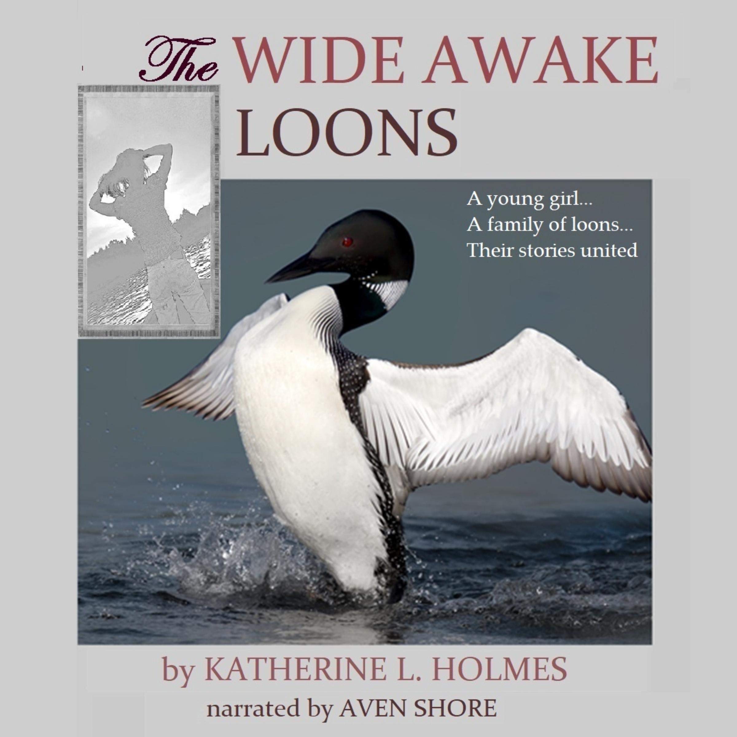 Cover art for The Wide Awake Loons