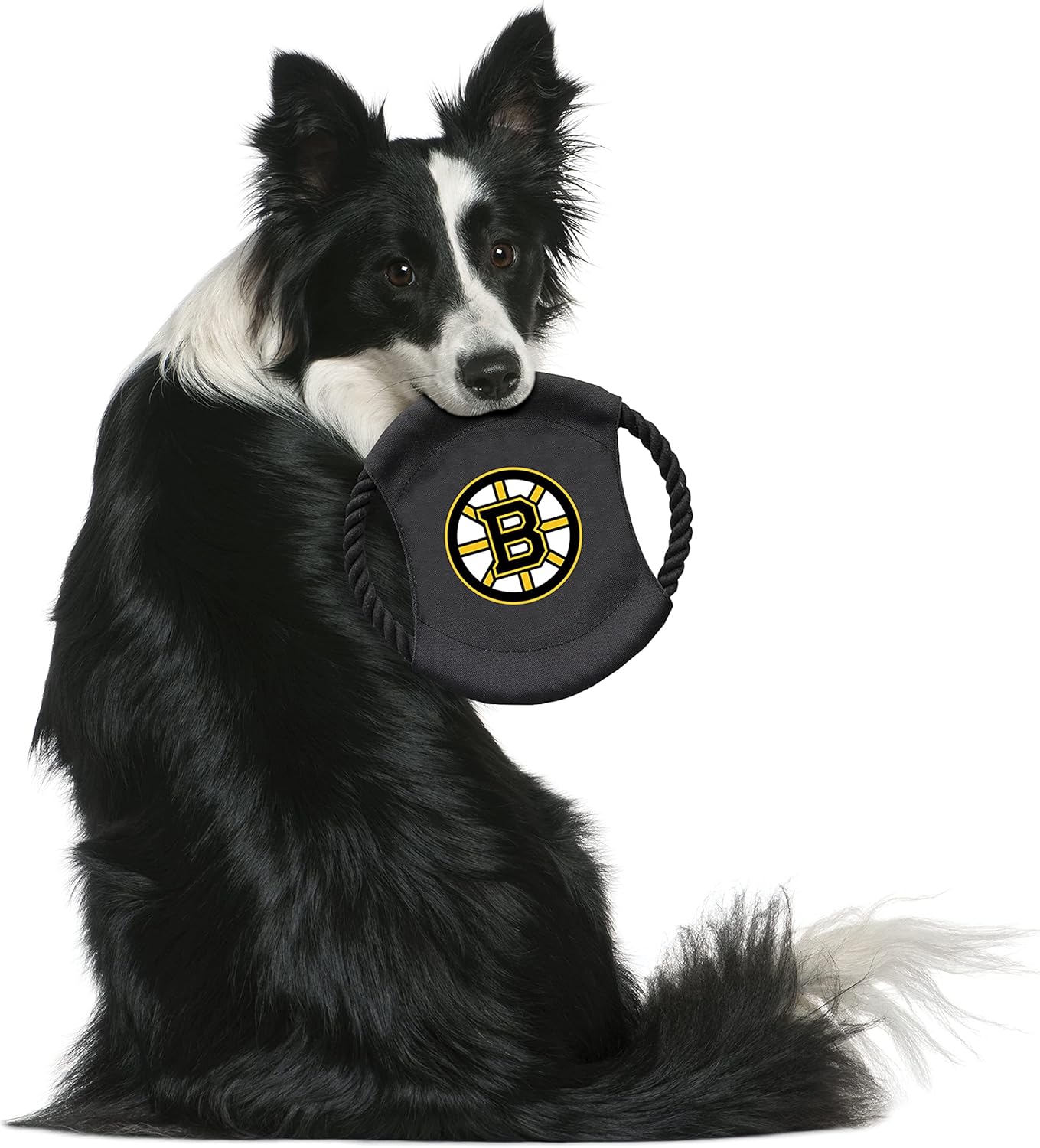 Littlearth NHL Boston Bruins Sock Monkey and Flying Disc Pet Toy Combo Set, Team Color, One Size