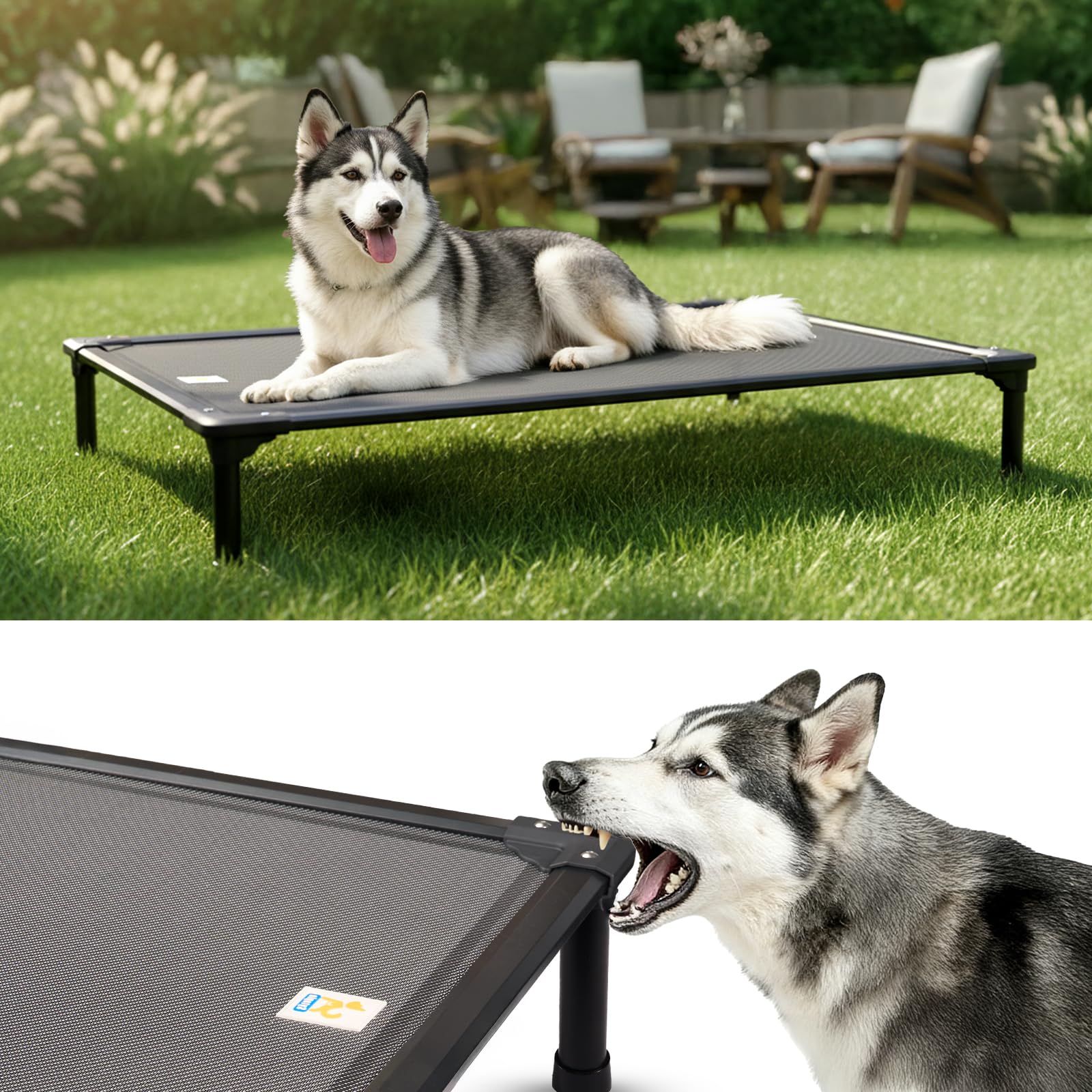 Sytopia 47'' Outdoor Elevated Dog Bed for Extra Large Dogs, Chew-Proof Pet Camping Raised Cot with Breathable Mesh - Durable Frame, Cooling Hammock Bed, Non-Slip Feet, Waterproof, Easy Clean