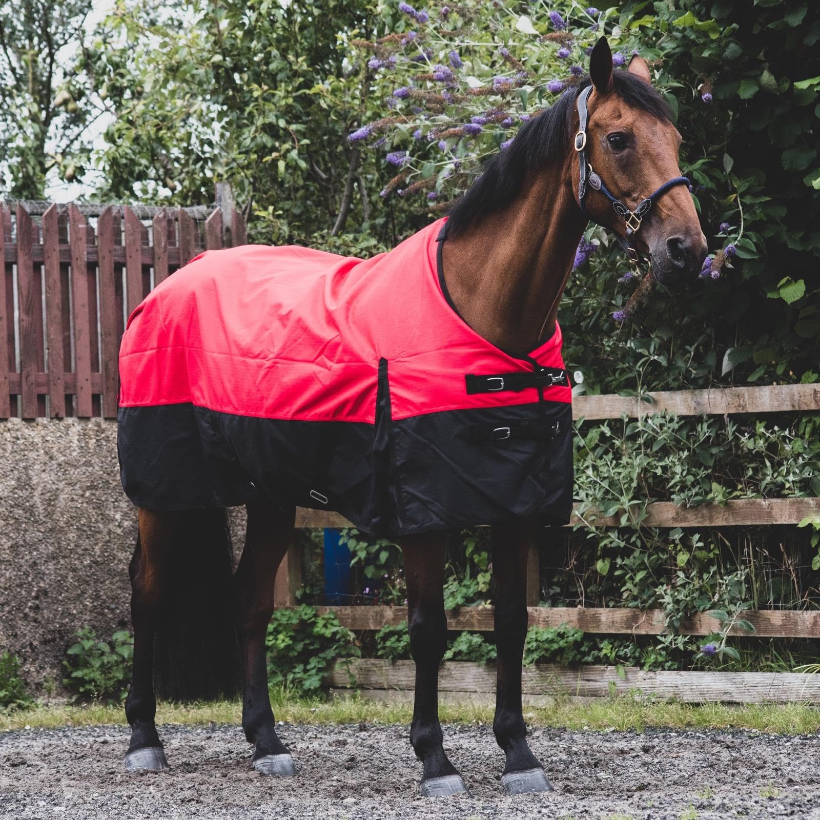 Equitack 1200D Winterdecke Pferd, 155cm | Regular Regendecke Pferd mit Fleece Lining | wasserdichte Outdoordecke Pferd | Red/Black