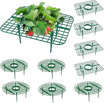 10 Pack Strawberry Plant Support, Strawberry Support Growing Racks for Keeping Garden5 Square+5 Round