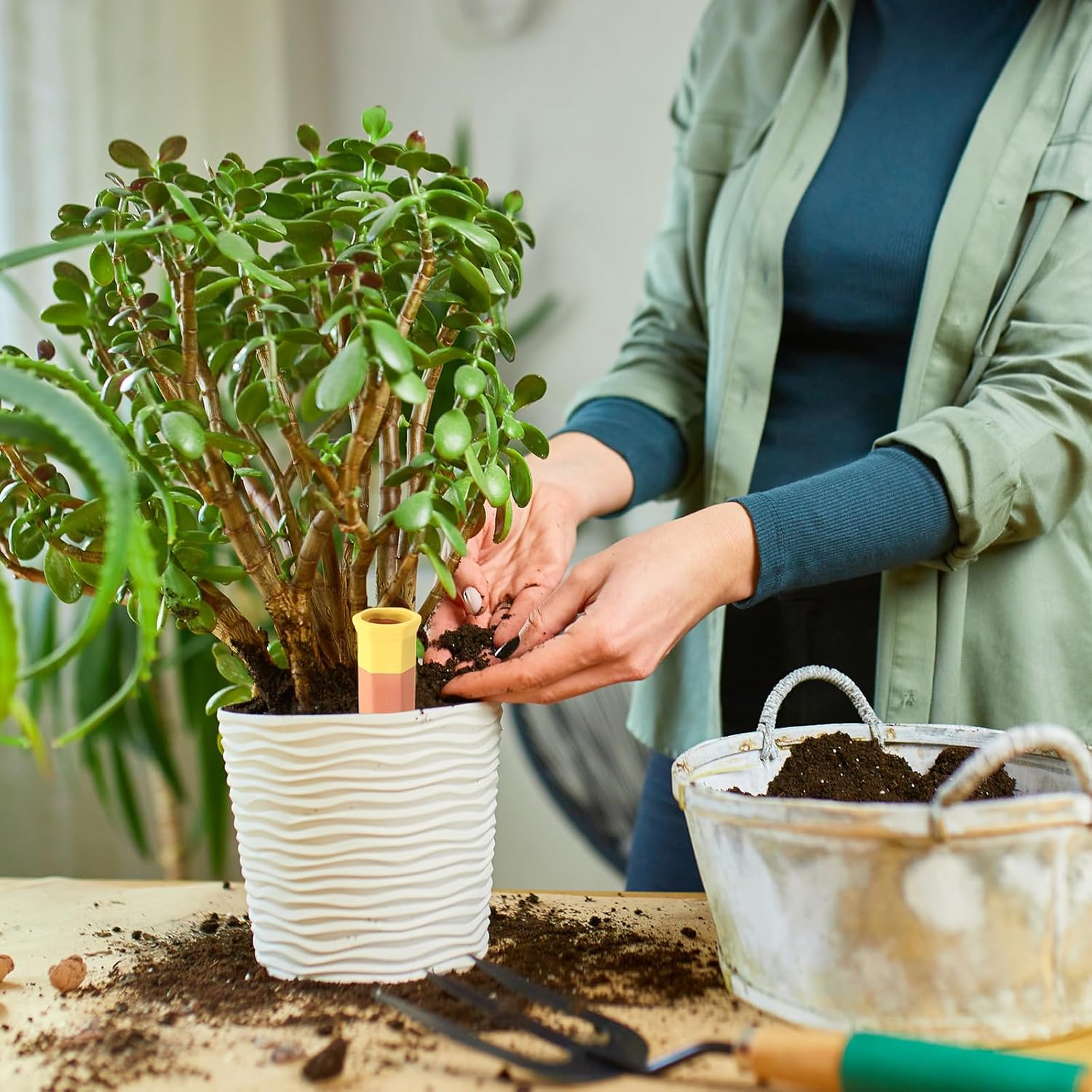 Baderke 16 Pcs Terracotta Watering Spikes Colorful Automatic Self Watering Stakes Slow Release Vacation Plant Waterer Devices for Indoor Outdoor Plants