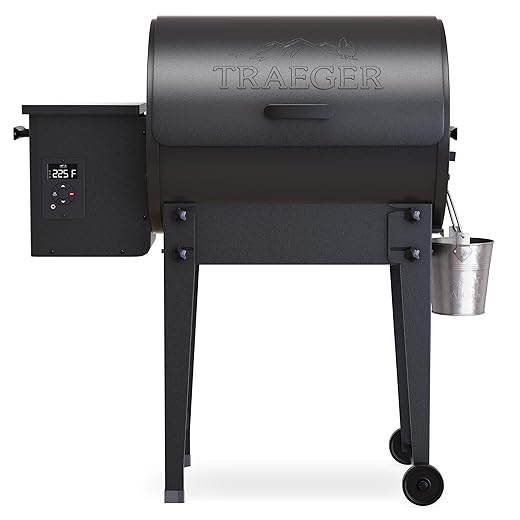 Traeger Grills Tailgater 20 Portable Wood Pellet Grill and Smoker, Black