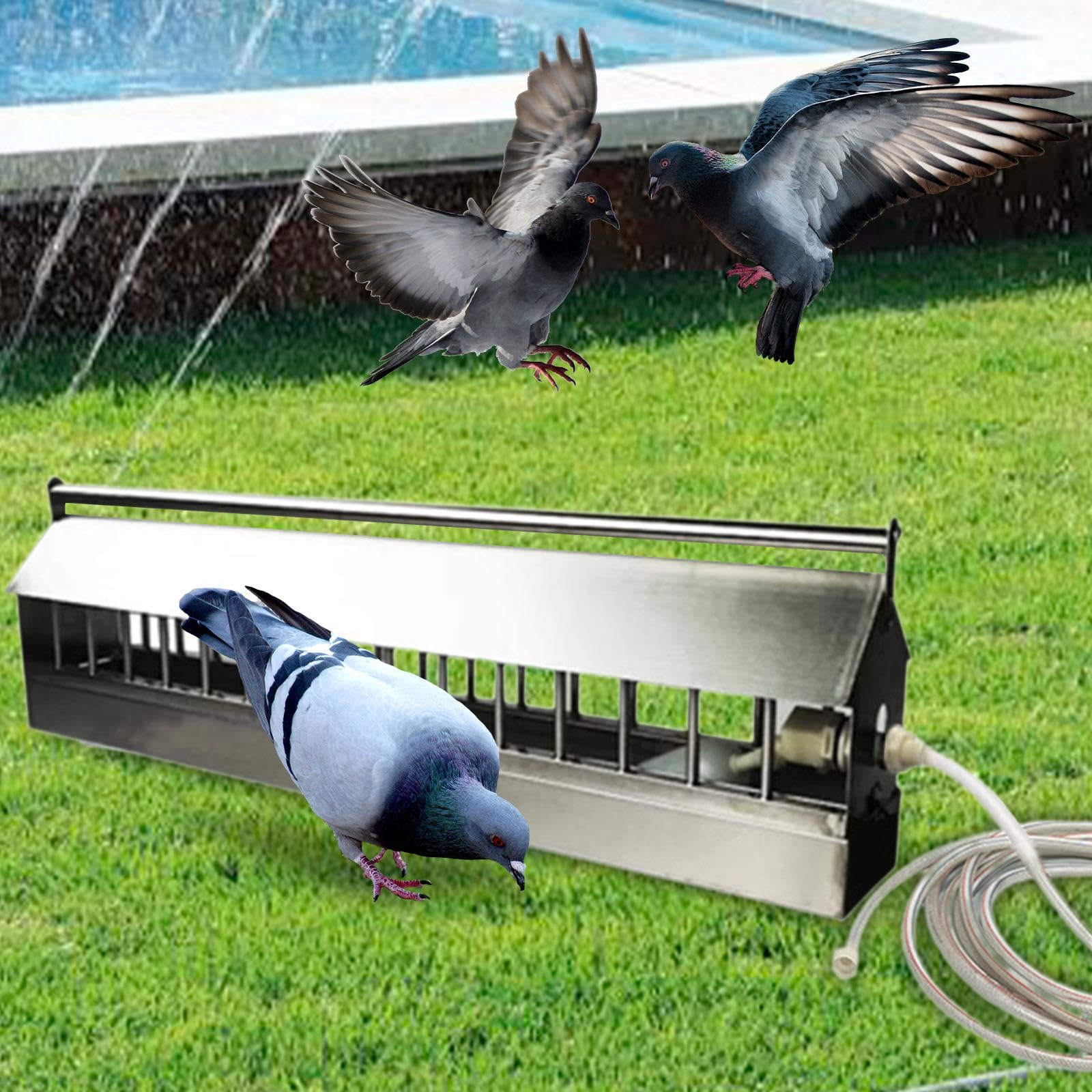 Automático para Aves de Corral con 2 Depósitos, Dispensador Automático de Agua para, Faisanes, Gansos Y Palomas, 100cm