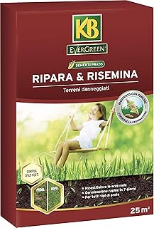 KB Sementi Evergreen Ripara & Rinsemina, 500g