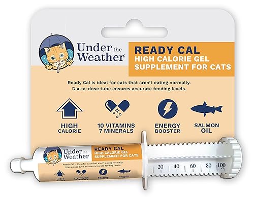 Under The Weather Pet | Ready Cal for Cats 100cc