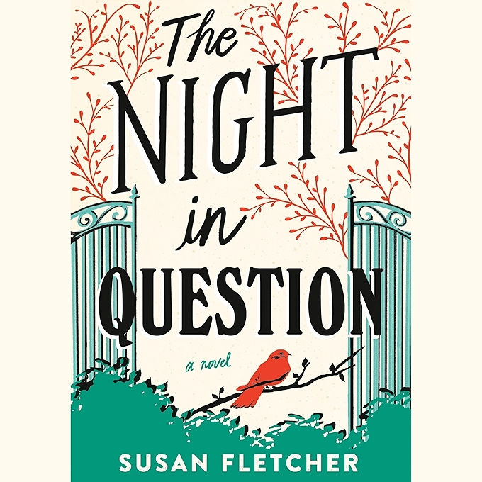 《夜色中的疑问》 小说