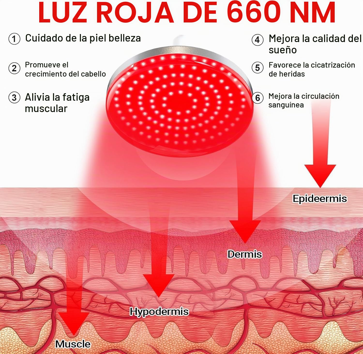 Lámpara infrarroja 660nm, 120 LED, temporizador | 660nm, 30-60°C, 10–30 min, altura 58–116cm