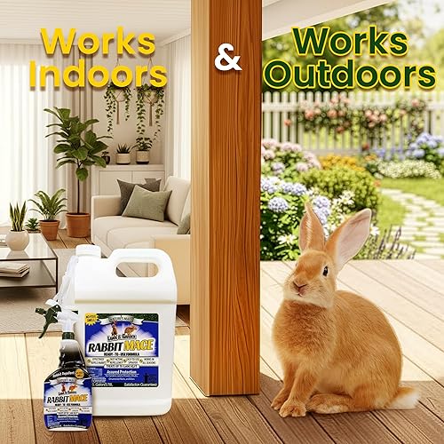 Miniatura 5 de Nature's Mace Conejo MACE, disuasorio de conejo para patio, repelente de conejos al aire libre, aroma a menta, aerosol de conejo, jardín, césped,