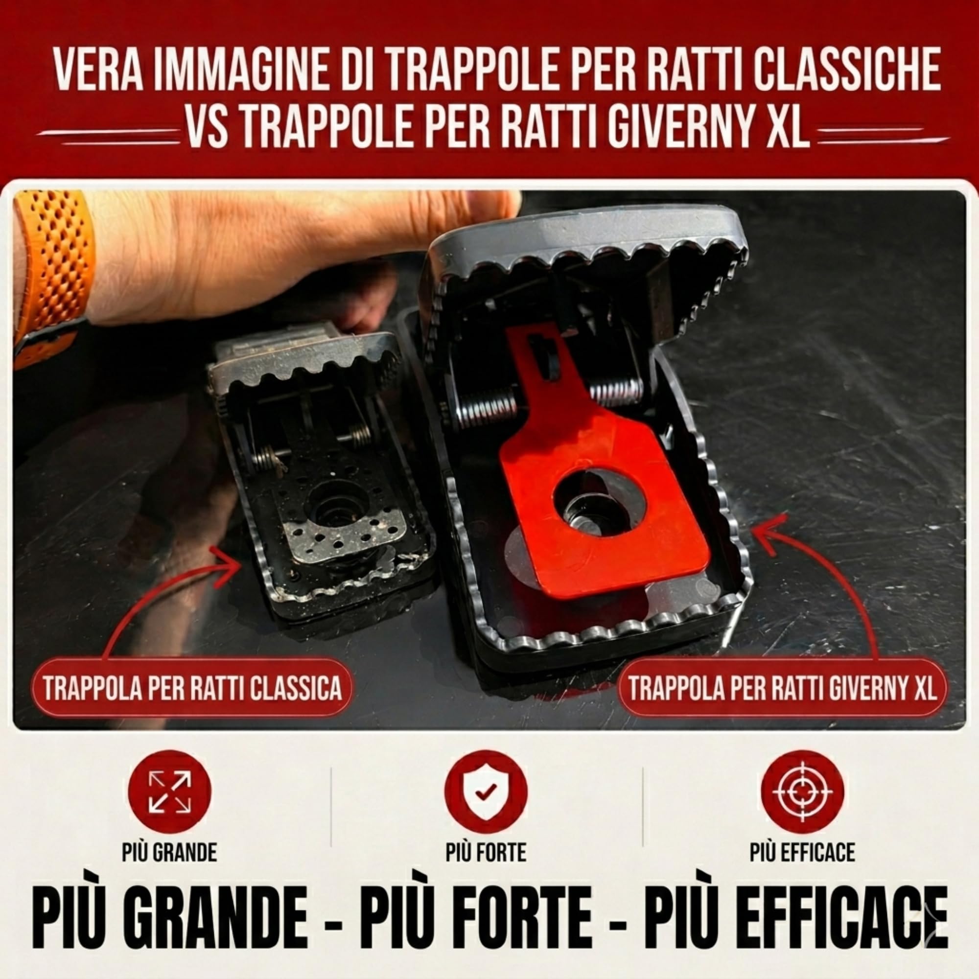 Trampa para Ratas GIVERNY XL (Paquete de 6): Trampas de presión extragrandes y Resistentes para Ratones y Ratas, Reutilizables, potentes, de eliminación instantánea, para Interiores y Exteriores.