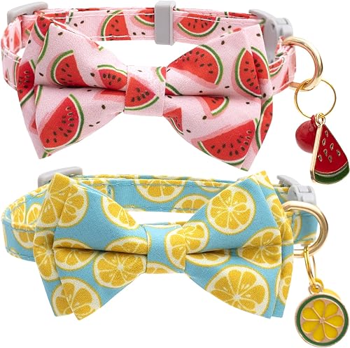 Faygarsle Paquete de 2 lindos collares de gato con campana, corbatĂn para gatos, machos, hembras, gatos, suave, elegante, rosa, amarillo, gato, Faygarsle Paquete de 2 lindos collares de gato con campana, corbatĂn para gatos, machos, hembras, gatos, suave, elegante, rosa, amarillo, gato,