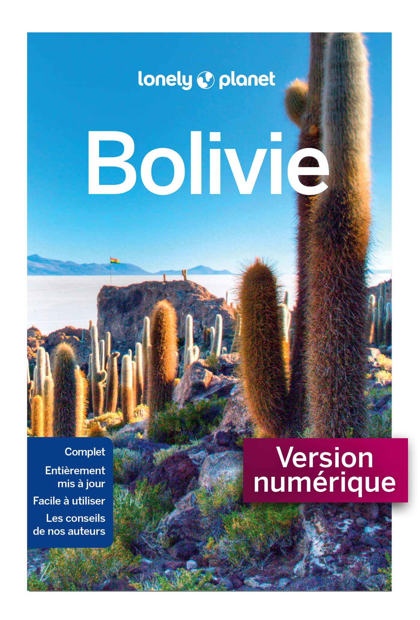 Bolivie 8ed (French Edition)