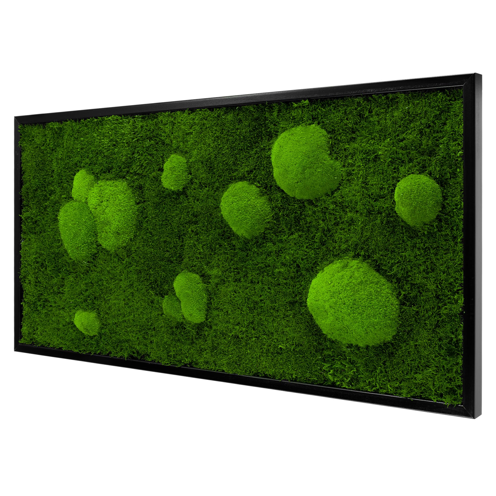 Moos Design | Moosbild in versch. Größen (Forest Design, Holzrahmen: schwarz, 110 x 55 cm)