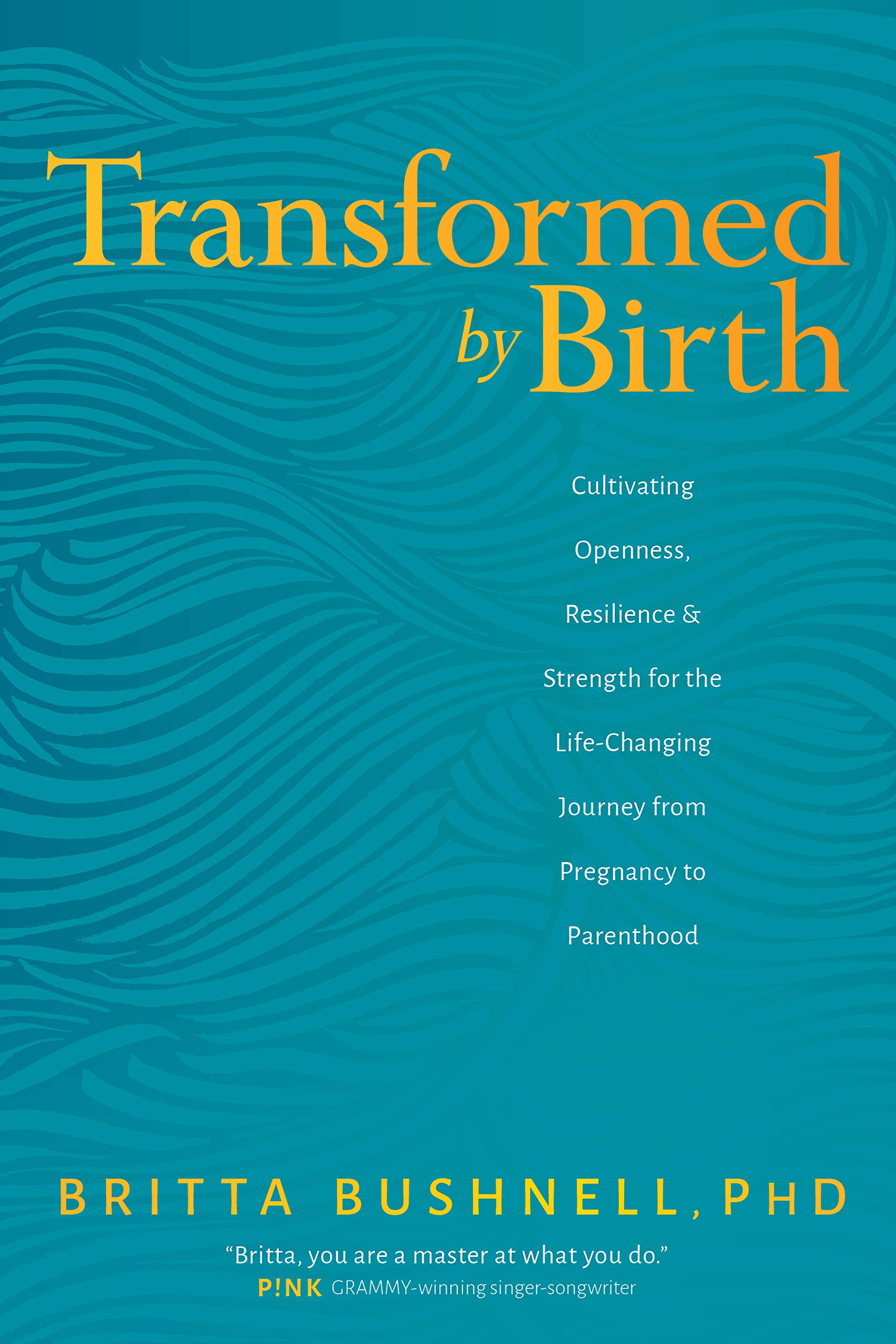 Transformed by Birth: Cultivating Openness, Resilience, and Strength for the Life-Changing Journey from Pregnancy to Parenthood