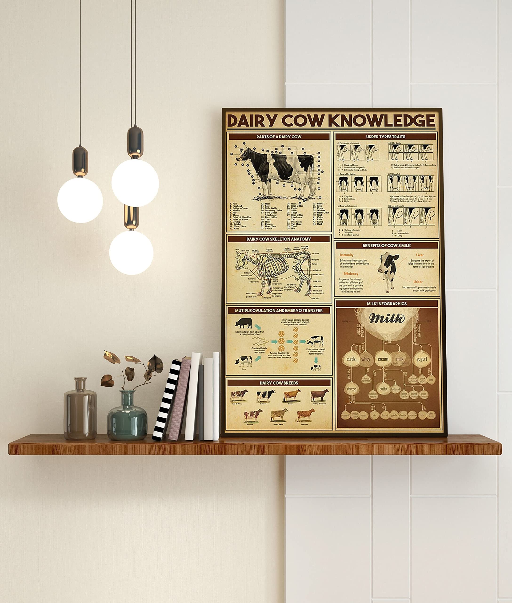 Nuboxx Dairy Cow Knowledge Metal Tin Sign Vintage Dairy Cow Wall Art Cow Wall Hanging Anatomy Of A Dairy Cow Breeds Of Dairy Cattle Score Of Cattle Metal Tin Signs 6X8 Inch