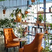 Vista 34 de GLEAVI Cowrie Shells 100pcs Round Shells Pieces Round Natural Capiz with 2 Hole, Polished Slice Accessory Capiz Pearl Coin Beads Charms for Jewelry