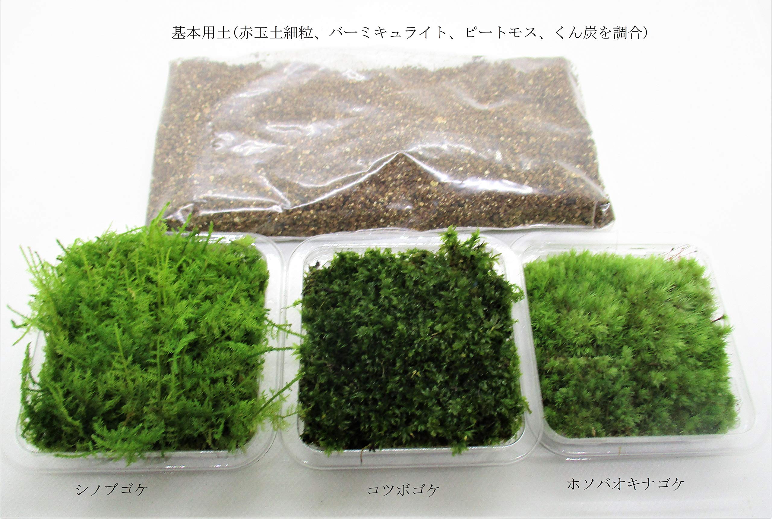 Amazon.co.jp: 【 翔美苑 】 苔 テラリウム 用 苔3種 と 土 のセット