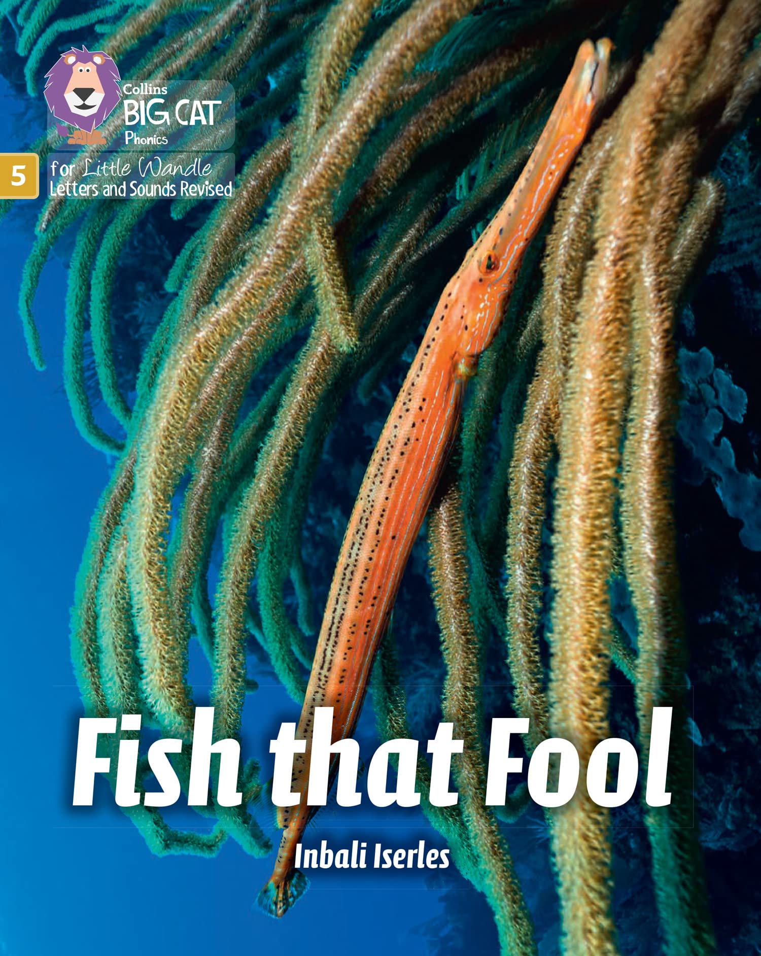 Fish that Fool by Inbali Iserles PAPERBACK 9780008539665