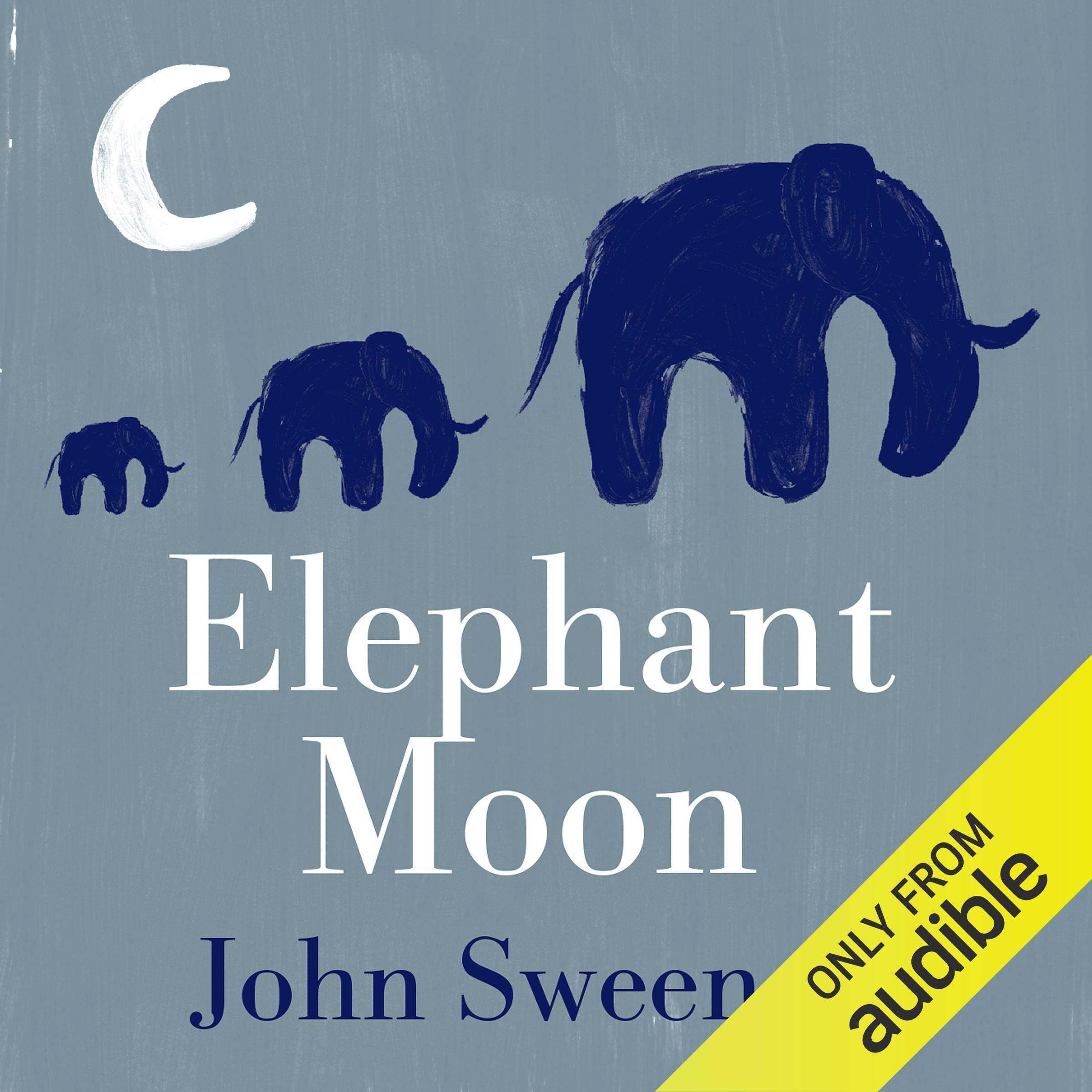 Elephant Moon