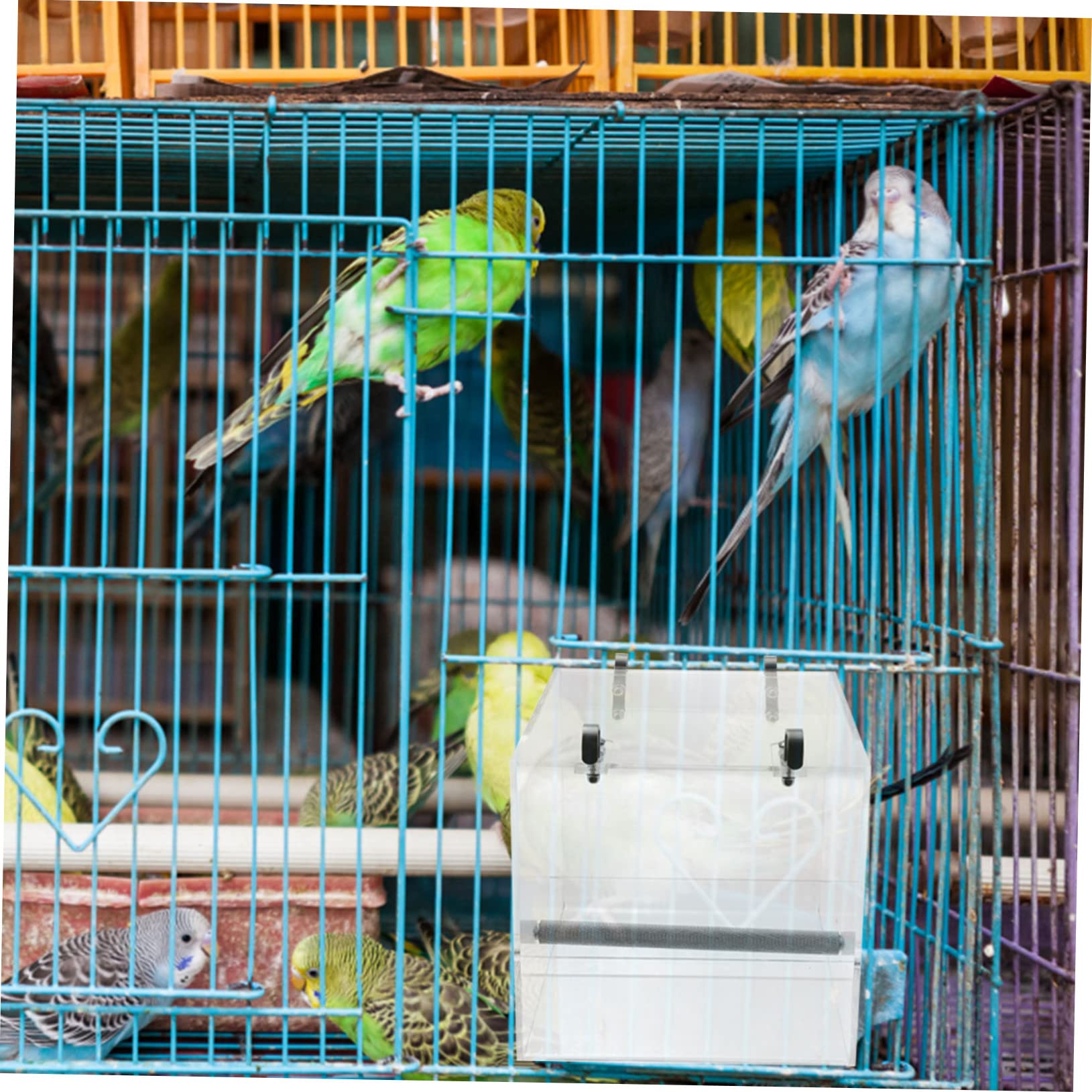 NUOBESTY Mangiatoia Automatica in Plastica per Uccelli Ciotola per Cibo e Acqua Facile da Installare su Gabbia Adatta Pappagalli e Piccoli Volatili Design Trasparente